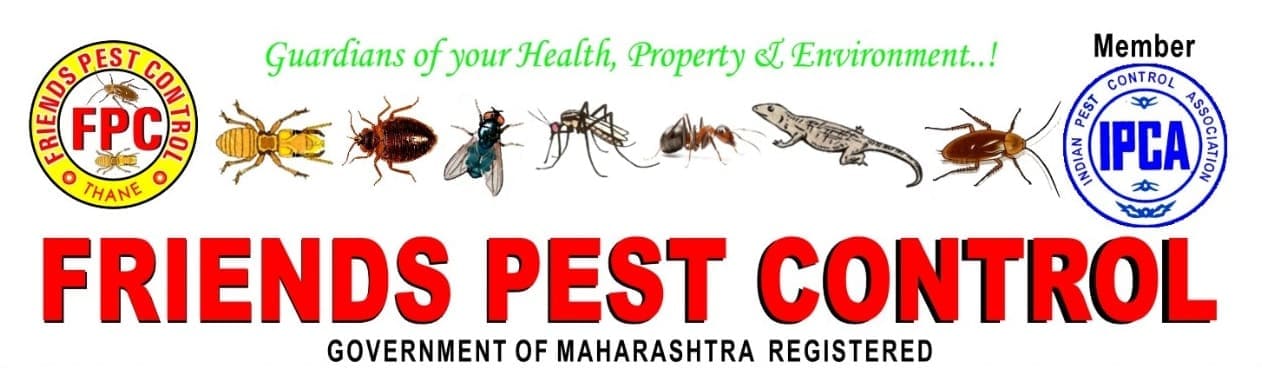 Friends Pest Control, Thane West